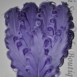 May include: A bunch of purple curly feathers. The feathers are arranged in a circular shape, with the tips of the feathers pointing outwards.