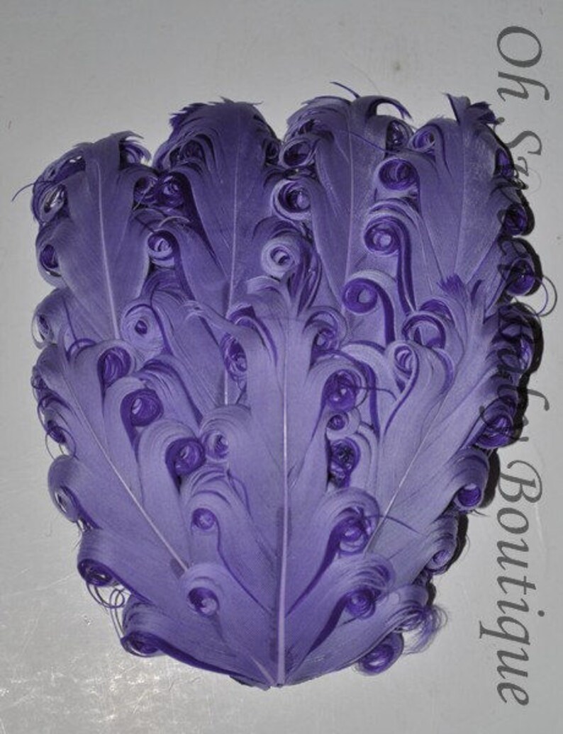 May include: A bunch of purple curly feathers. The feathers are arranged in a circular shape, with the tips of the feathers pointing outwards.
