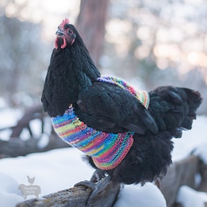 Knitted WOOL Chicken Sweater, EXTRA WARM and thick, pure wool, Hen Jumper, Handmade in Canada!