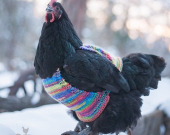 Knitted WOOL Chicken Sweater, EXTRA WARM and thick, pure wool, Hen Jumper, Handmade in Canada!