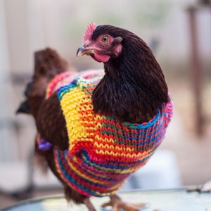 Knitted WOOL Chicken Sweater, EXTRA WARM and thick, pure wool, Hen Jumper, Handmade in Canada image 5