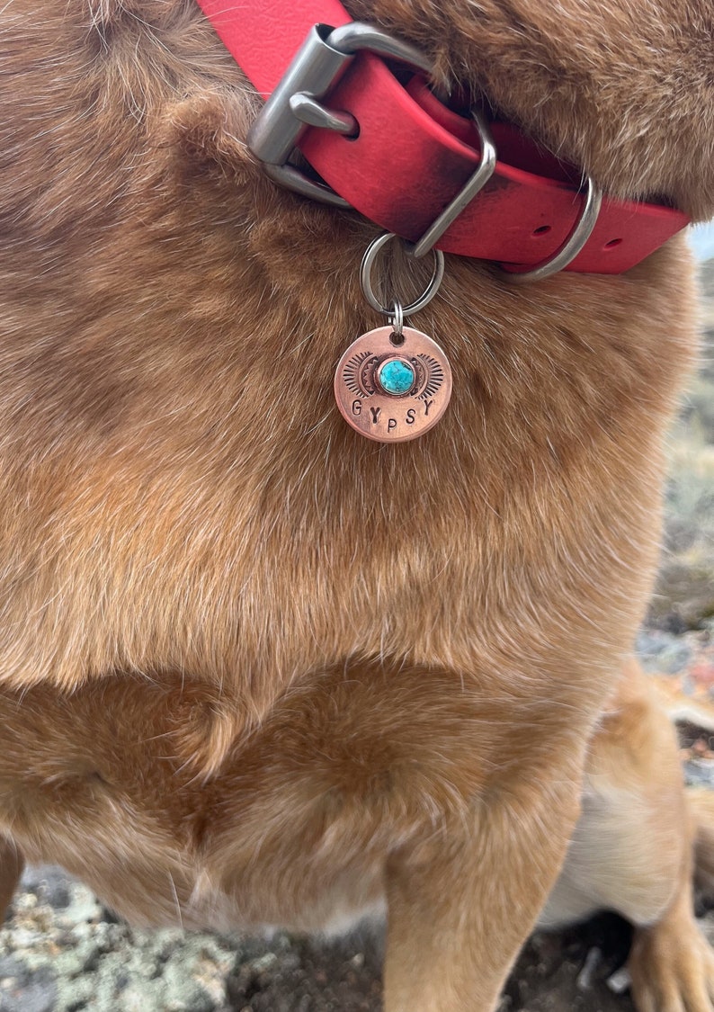 Handmade in Canada Solid Copper or Brass, Pet ID Tag, with genuine, authentic gemstones LARGE STONE image 2