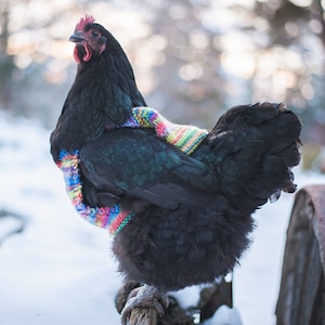 Knitted WOOL Chicken Sweater, EXTRA WARM and thick, pure wool, Hen Jumper, Handmade in Canada image 2