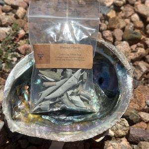 Abalone Shell Smudge shell