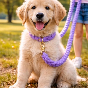 Puede incluir: Un cachorro de golden retriever sonriente con un collar y una correa trenzados de color púrpura con herrajes dorados. El perro está sentado sobre hierba verde, con las piernas y los pies de una persona visibles en el fondo.