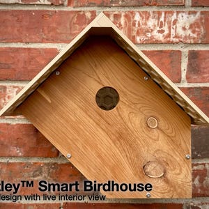 Può includere: Una casetta per uccelli in legno con tetto spiovente, montata su un muro di mattoni. La casetta ha un ingresso circolare e un motivo esagonale all'interno. Il testo "Nestley Smart Birdhouse" è visibile.
