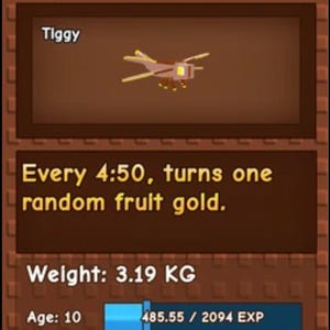 Dragon fly Grow a garden
