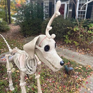 7フィートのスケルトン犬用Max Antler – 3Dプリントのグリンチアクセサリー | スケルトン犬用クリスマスコスチューム | ホームデポのスケルトン犬用デコレーション