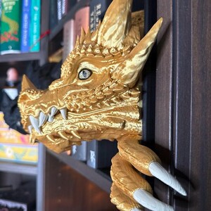 May include: A gold-colored dragon head and claw bookshelf decor. The dragon head has detailed scales, horns, and sharp teeth. The claw extends from the side, adding a unique touch to any bookshelf. The dragon's eye is a light blue color.