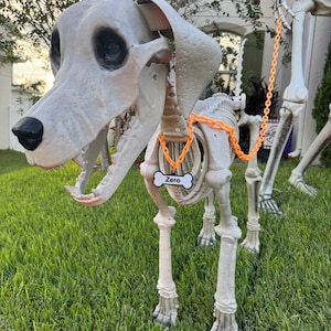 May include: A Halloween skeleton dog decoration with a bone-shaped tag that reads "Zero". The dog has an orange chain leash and is standing on green grass. The dog's eyes are black, and the teeth are visible.