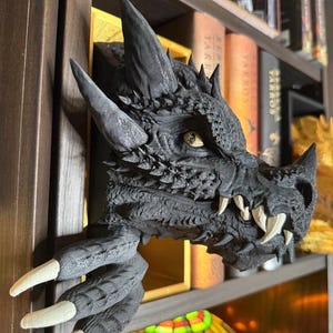 May include: A detailed, black dragon head sculpture with sharp horns, textured scales, and prominent white fangs. The dragon's claw extends from the bookshelf, with long, white claws. The sculpture is a decorative item for fantasy enthusiasts.