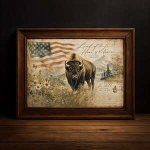Può includere: Stampa incorniciata con un bisonte in un campo con una bandiera americana sullo sfondo. La stampa include il testo "Land of the free, Home of the brave, Be still, and know that I am God."