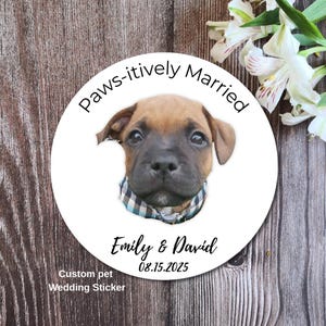 Custom Dog Wedding Favor Sticker - Paws-itively Married - Personalized Pet Photo Label - Dog of Honor - round Wedding Sticker