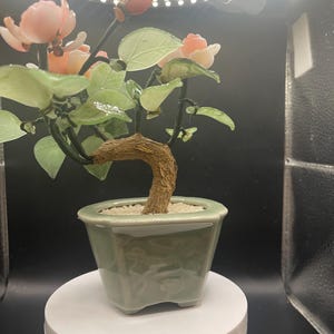 May include: A decorative bonsai tree with pink and peach-colored flowers and green leaves. The tree is in a light green square ceramic pot. The trunk is brown and the pot sits on a white rotating stand.