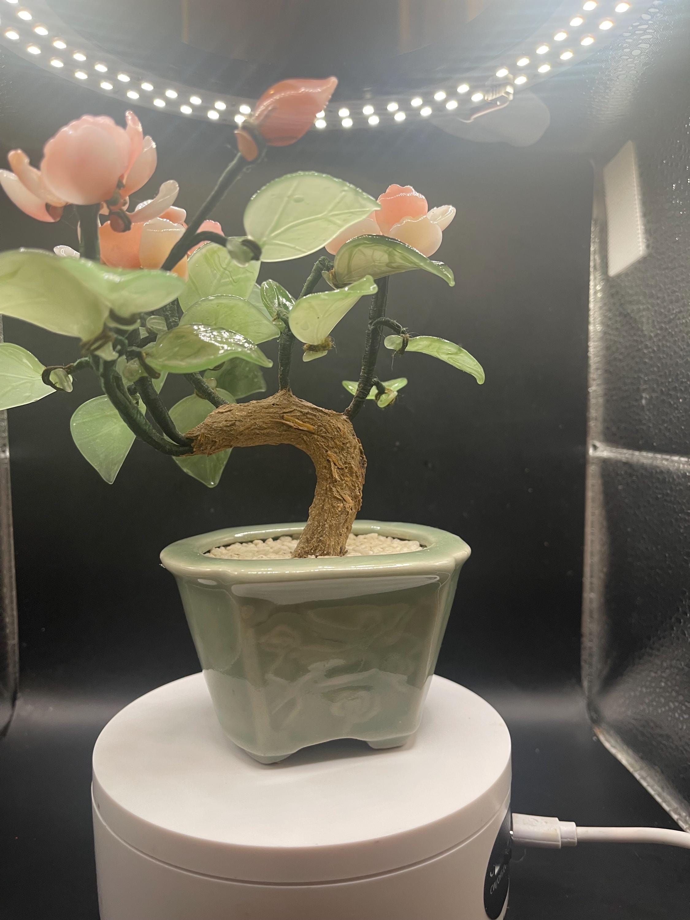 Vintage Jade Glass Bonsai Tree Featuring Pink Cherry Blossoms Chinese  Celadon Pot - Etsy