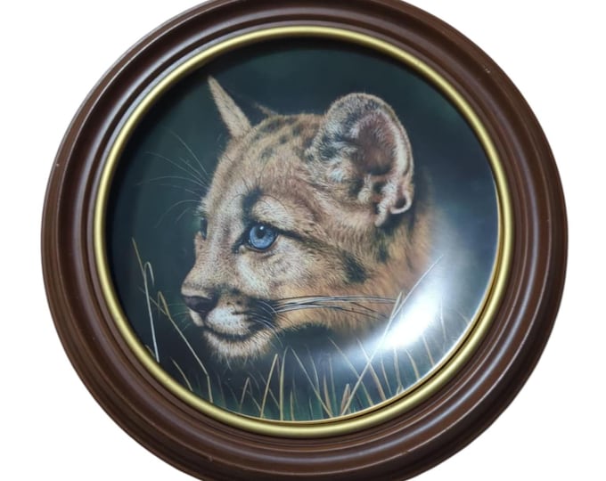 Vintage Cougar Cub Plate: Princeton Galleys Collectible with Frame