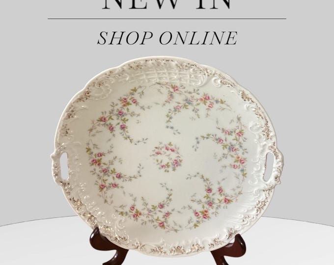 Antique C.T. Germany Carl Tielsch Enclosed Handles Porcelain Plate