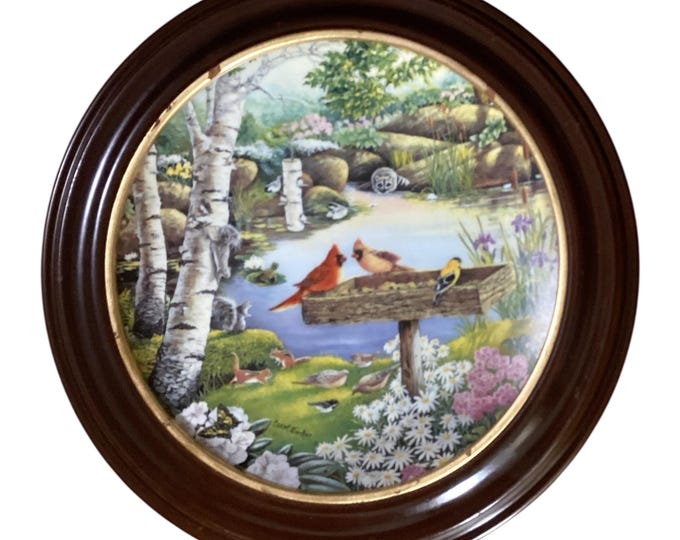 Vintage Knowles Nature’s Garden Series Collector Plates with Frames