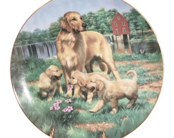 Plato coleccionable antiguo “Golden Retrievers” Colección Hamilton GOLDEN RETRIEVERS 8.5”
