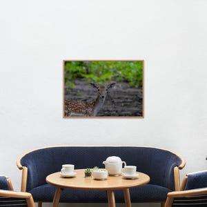 May include: A framed photograph of a deer in a natural setting. The deer has brown fur with white spots and is looking directly at the viewer. The background features green foliage and a dark, earthy ground.