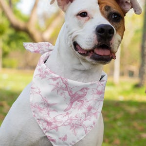 Chic Parisian Pet Bandana Collar, Stylish Dog Accessory, Fashionable Dog Scarf, Pet Gift for Pet Lovers, Cute Canine Outfit