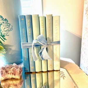 Vintage ombré effect blue Decorative Book collection