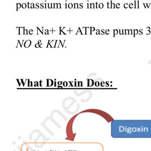 Può includere: Diagramma medico che spiega l'azione della Digossina. Il diagramma mostra l'impatto del farmaco sulla pompa Na+/K+-ATPasi, aumentando il Ca2+ e la forza. Il testo include "Digossina", "MOA" e "Cosa fa la Digossina:"