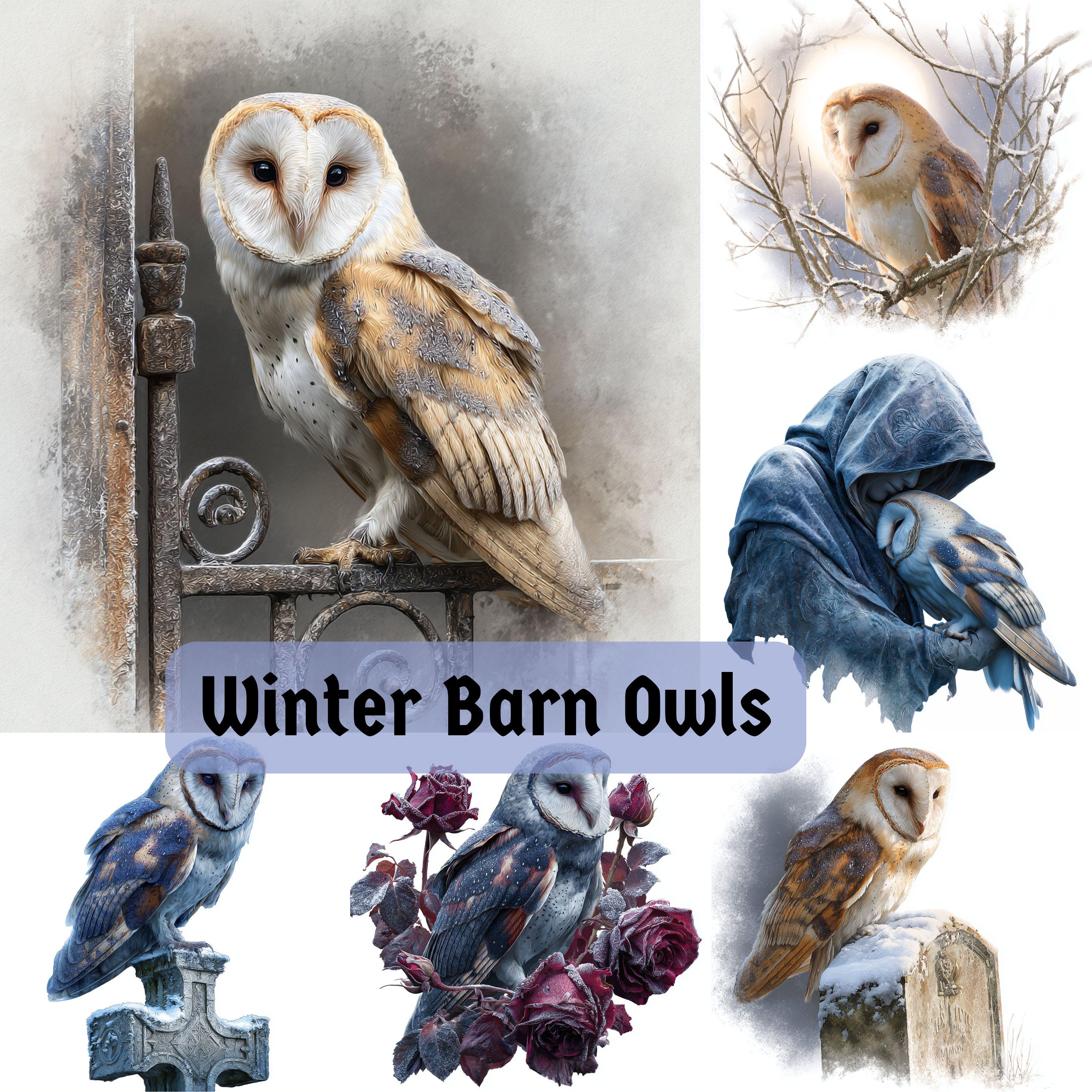Winter Barn Owl Art, Gothic Owl JPEG Bundle, Mystical Bird Prints, Moody Winter Aesthetic, Commercia