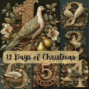 May include: A collage of images featuring the numbers 1 through 5, each adorned with ornate floral and bird designs. The text "12 Days of Christmas" is displayed across the bottom. The images include doves, a rooster, a goose, and a bluebird.