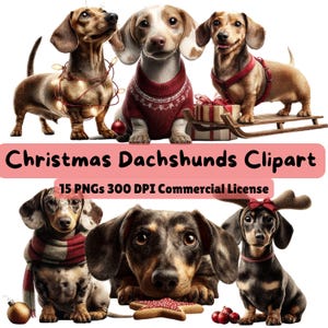 Pode incluir: Ilustração digital de seis dachshunds com decorações natalinas. A imagem inclui o texto "Christmas Dachshunds Clipart" e informações sobre os PNGs e a licença comercial.