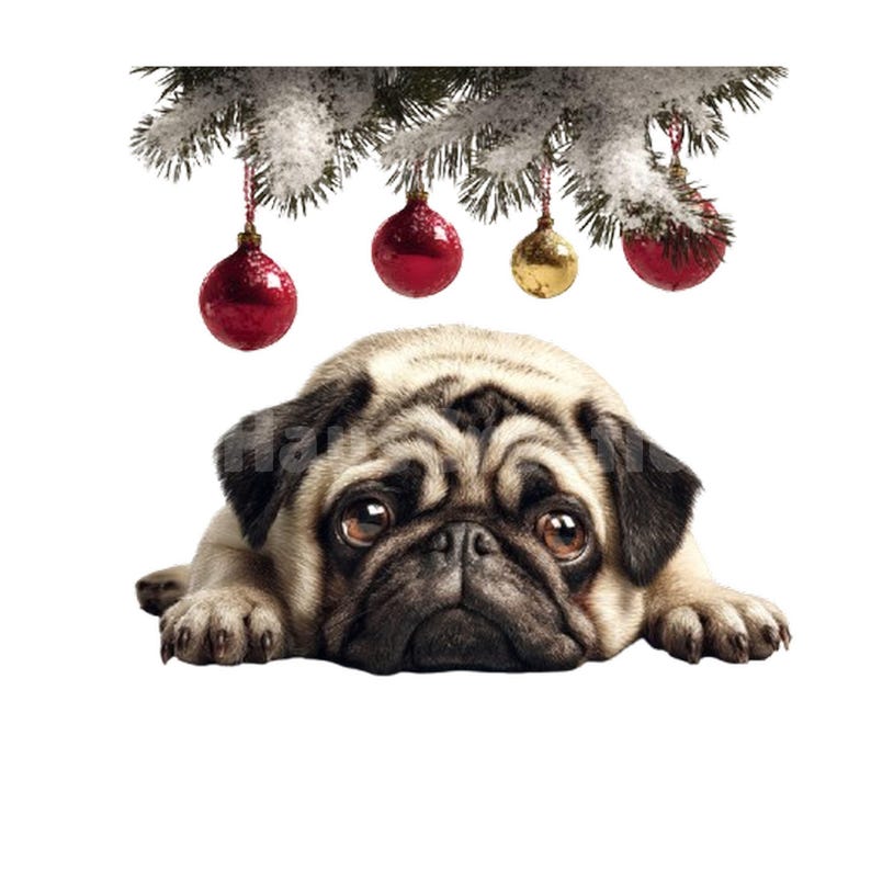 Christmas Pugs Clipart Bundle, Holiday Pug PNG Set, Festive Dog Art ...