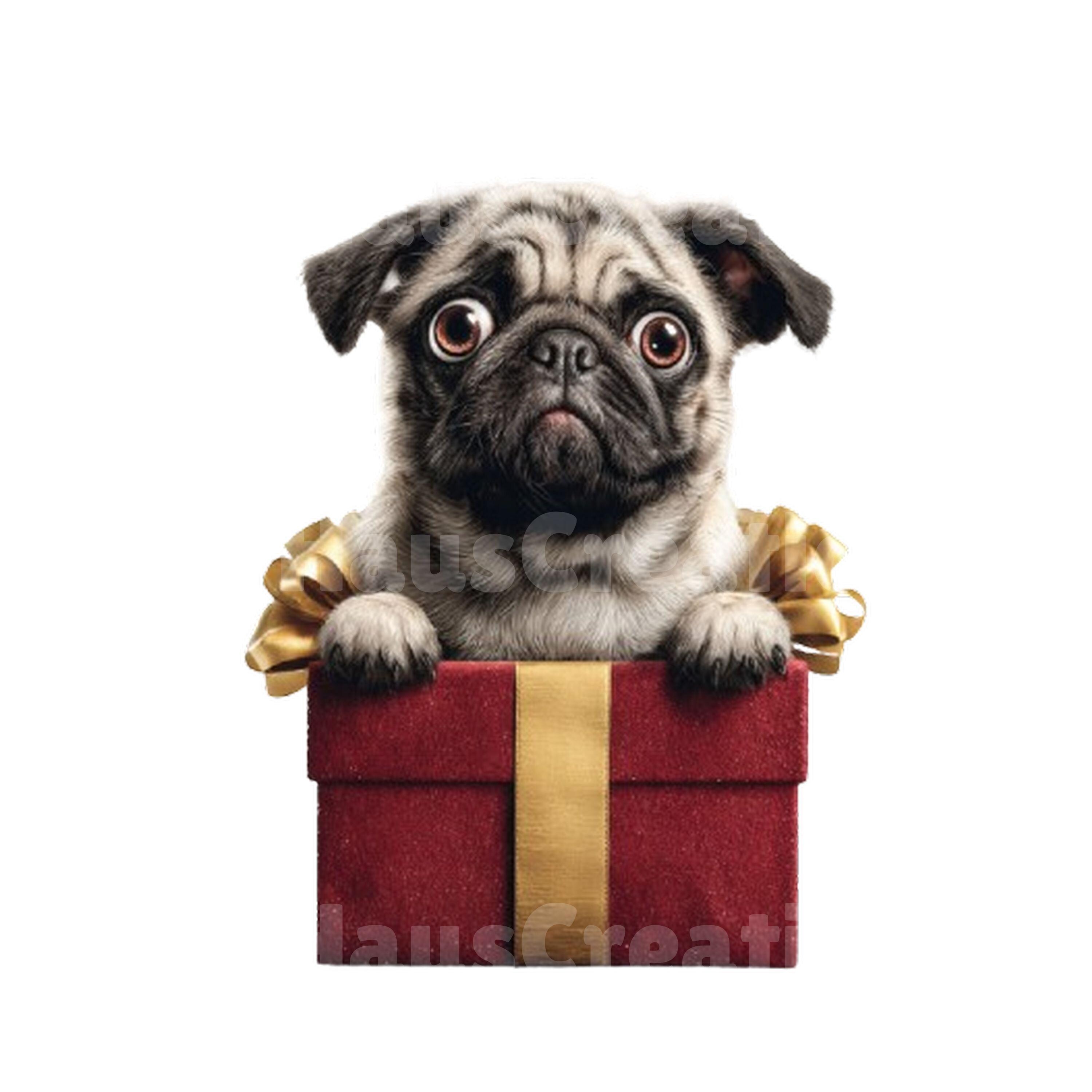 Christmas Pugs Clipart Bundle, Holiday Pug PNG Set, Festive Dog Art ...