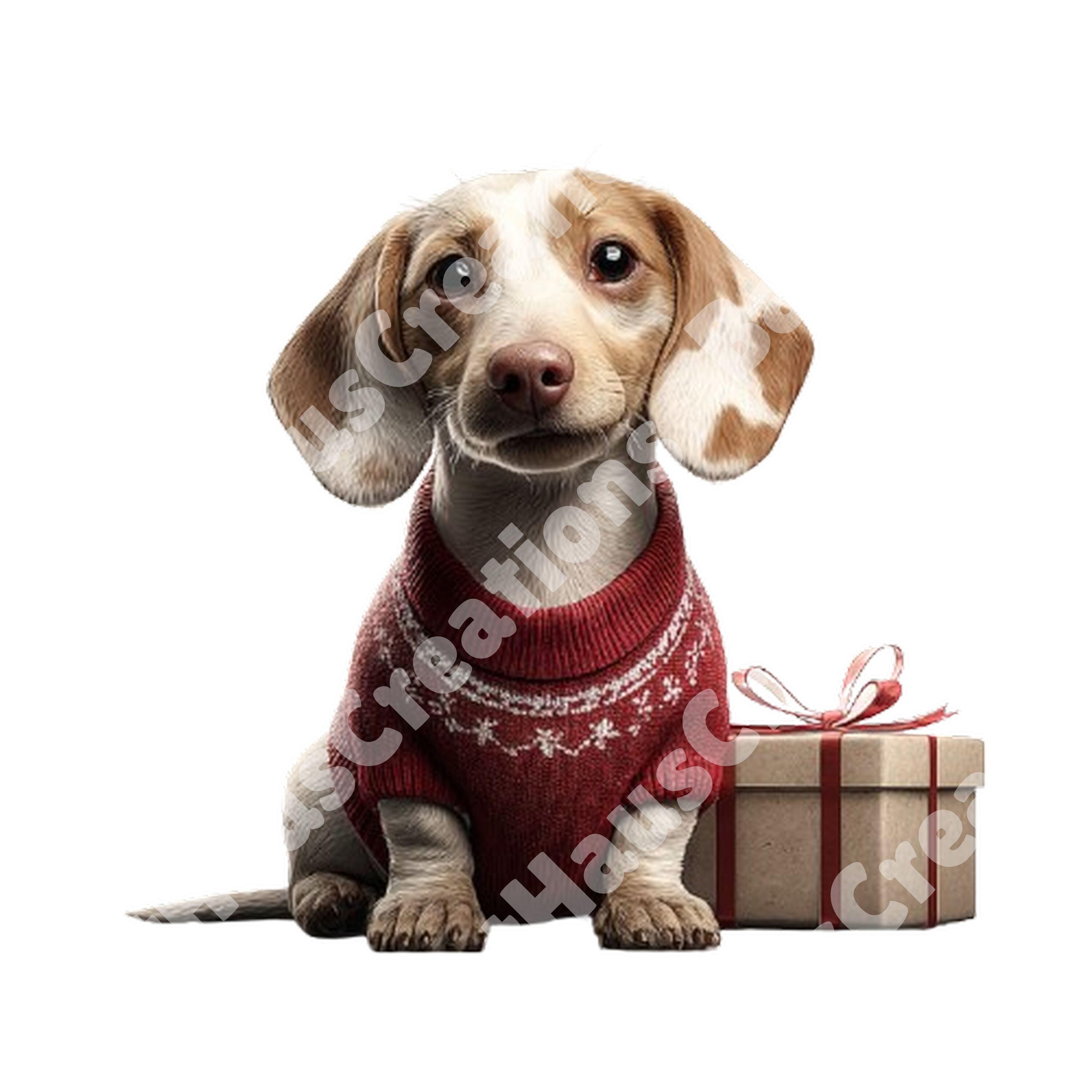 Christmas Dachshund Clipart Bundle, Holiday Doxie Illustration PNG Set ...