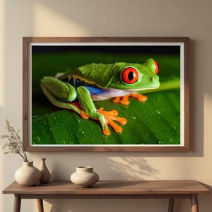 Red-Eyed Tree Frog Wall Art – Vibrant Frog on Leaf | Printable Nature Photography | Jungle Animal Digital