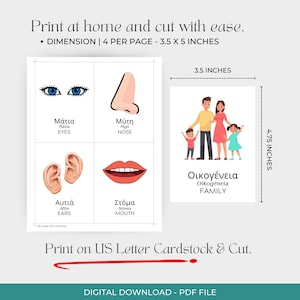 May include: Digital download of flashcards with illustrations of body parts and a family. The flashcards are 3.5 x 5 inches. The text includes the words "Eyes", "Nose", "Ears", "Mouth", and "Family". The product is a PDF file.