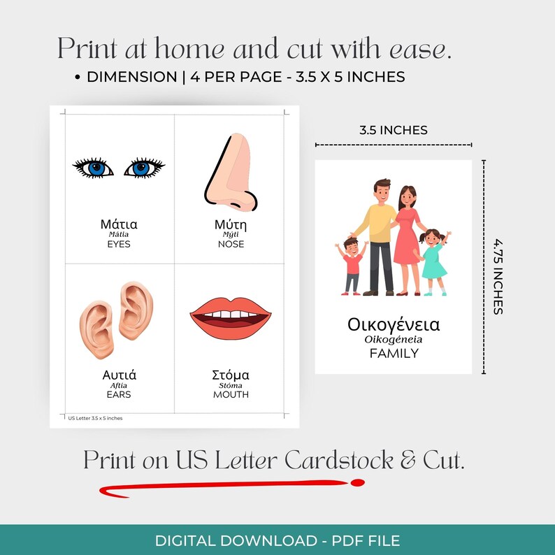May include: Digital download of flashcards with illustrations of body parts and a family. The flashcards are 3.5 x 5 inches. The text includes the words "Eyes", "Nose", "Ears", "Mouth", and "Family". The product is a PDF file.