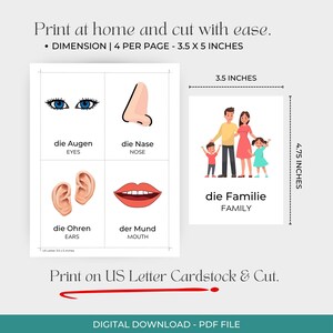 Puede incluir: Una descarga digital de tarjetas did&aacute;cticas para aprender vocabulario alem&aacute;n. Las tarjetas incluyen ilustraciones de partes del cuerpo y una familia, con dimensiones de 8,9 x 12,7 cm. El texto de las tarjetas est&aacute; en alem&aacute;n e ingl&eacute;s.
