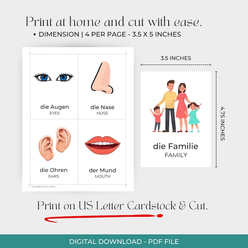 Puede incluir: Una descarga digital de tarjetas did&aacute;cticas para aprender vocabulario alem&aacute;n. Las tarjetas incluyen ilustraciones de partes del cuerpo y una familia, con dimensiones de 8,9 x 12,7 cm. El texto de las tarjetas est&aacute; en alem&aacute;n e ingl&eacute;s.