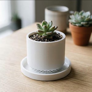 May include: A small green succulent plant potted in a white cylindrical container with a textured lattice base, resting on a matching white circular saucer. The plant is filled with dark soil and small pebbles, positioned centrally in the frame.