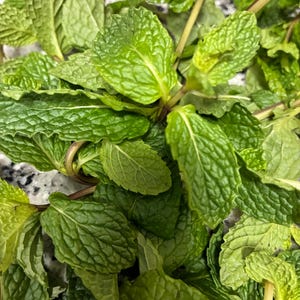 May include: Close-up of fresh green mint leaves. The leaves have a textured surface and are a vibrant green colour. The stems are visible, and the overall image conveys freshness and natural ingredients.