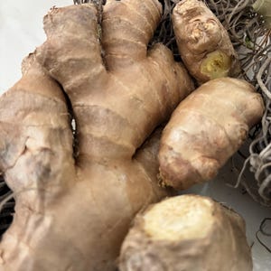Puede incluir: Primer plano de varios trozos de raíz de jengibre fresco. El jengibre tiene una piel marrón claro y texturizada y un interior amarillo pálido. Las piezas varían en tamaño y forma, algunas muestran superficies cortadas. El fondo incluye material vegetal seco.