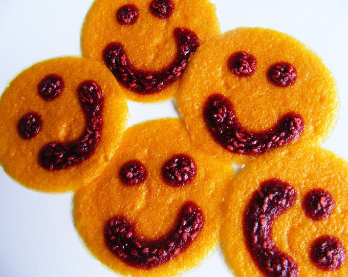 FUN Smileys Peach With Raspberry Smiley Face Fruit Leather Treats Etsy