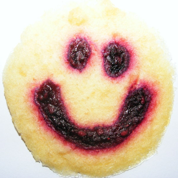 HAPPY Snacks (5 per pack) -fruit just got more FUN Smiley face fruit leather treats