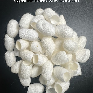 May include: A pile of open-ended silk cocoons, creamy white in color, are displayed against a dark background. The cocoons have a textured, fibrous appearance, with a cylindrical shape and an open end. The text "Open-Ended silk cocoon" is displayed at the top.