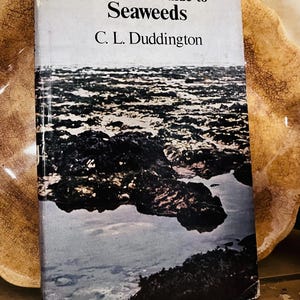 May include: A vintage book titled "Beginner's Guide to Seaweeds" by C. L. Duddington. The cover features a black and white photograph of a rocky shoreline with seaweed.