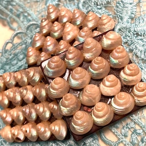 May include: A pair of square, dark brown wooden blocks adorned with numerous small, iridescent white spiral seashells. The shells are arranged in a grid pattern across the surface of each block, displaying a pearlescent sheen and natural texture.