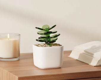 Bonsai de suculentas feito à mão em vidro, decoração elegante para casa.