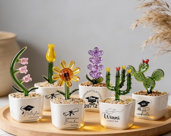 Vaso di fiori in vetro personalizzato per la laurea, regalo di laurea 2026, decorazione in vetro per la laurea, regalo per la laurea, regalo per lei, regalo per la figlia