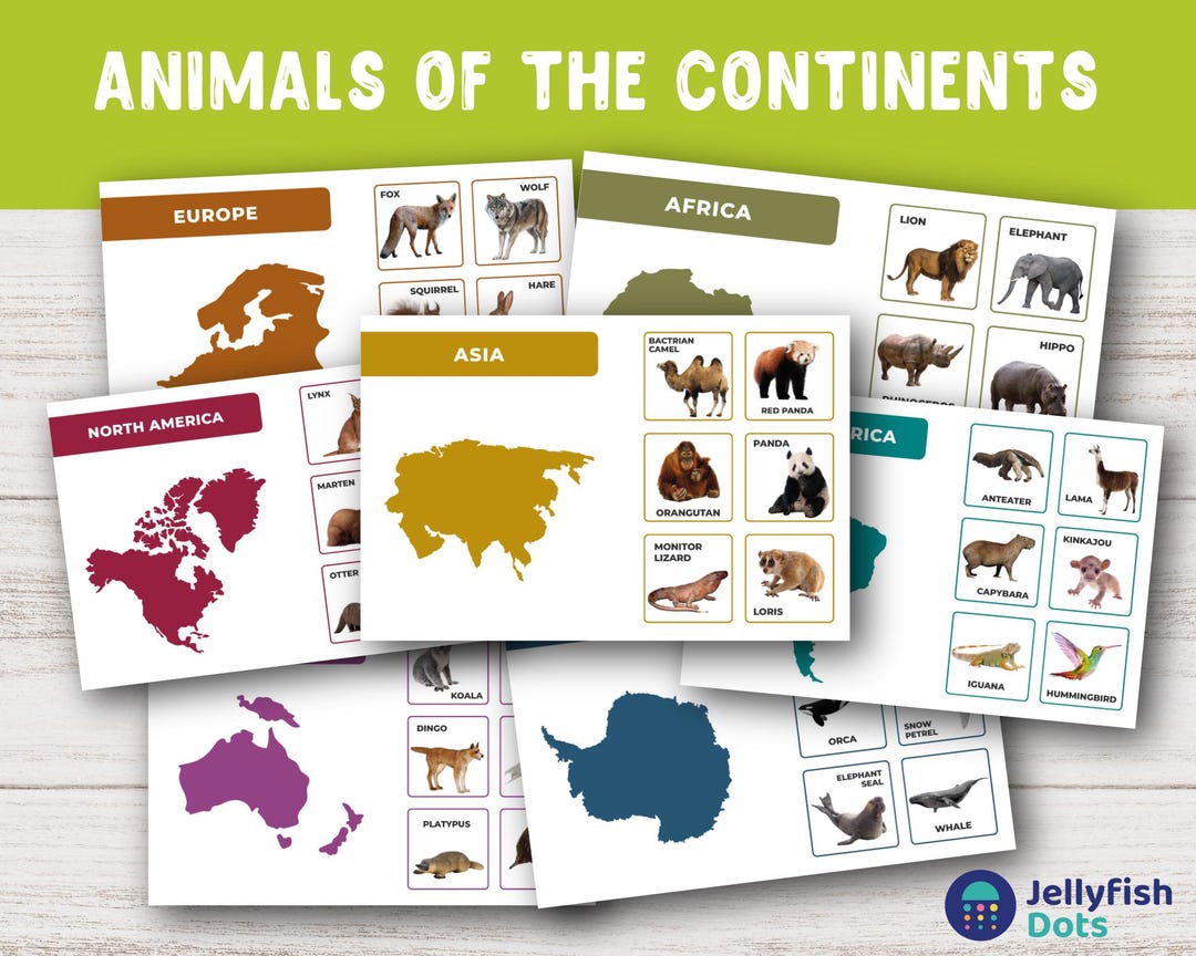 Animal & Continents Flashcards: Geography Learning Game (digital ...