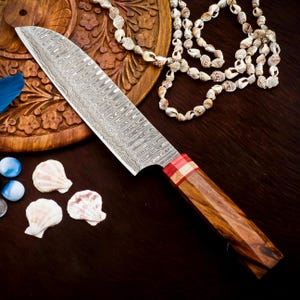 Handmade Damascus Chef Knife | 8 Inch Japanese Knife | Rosewood Handle | Razor Sharp Kitchen Knife Gift for Him Her | Pro Cooking Tool